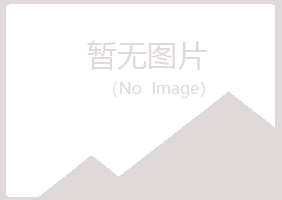 烟台夏岚金融有限公司